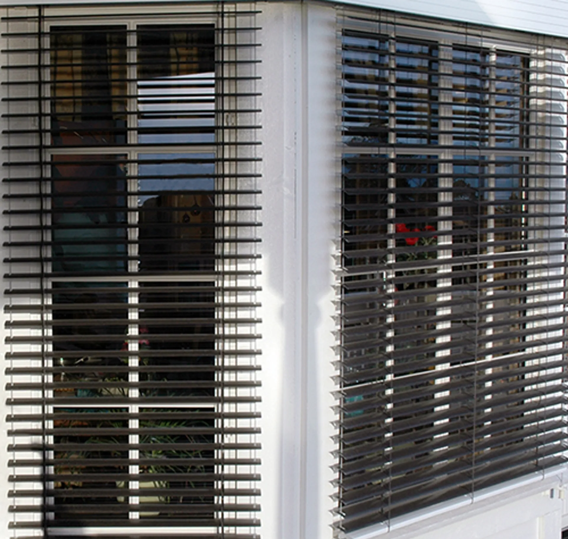 Fasade 50 mm Diplomat